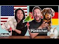 Popular PET NAMES Pronounced in German & English! (Top Names in Germany & USA)