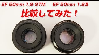 Canon EF 50mm F1.8ⅡとEF 50mm F1.8 STMの比較をしてみた！