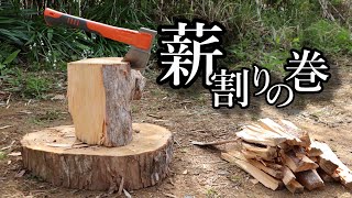 【初心者】【作業動画】冬までに乾燥させねば（ハスクバーナH900）