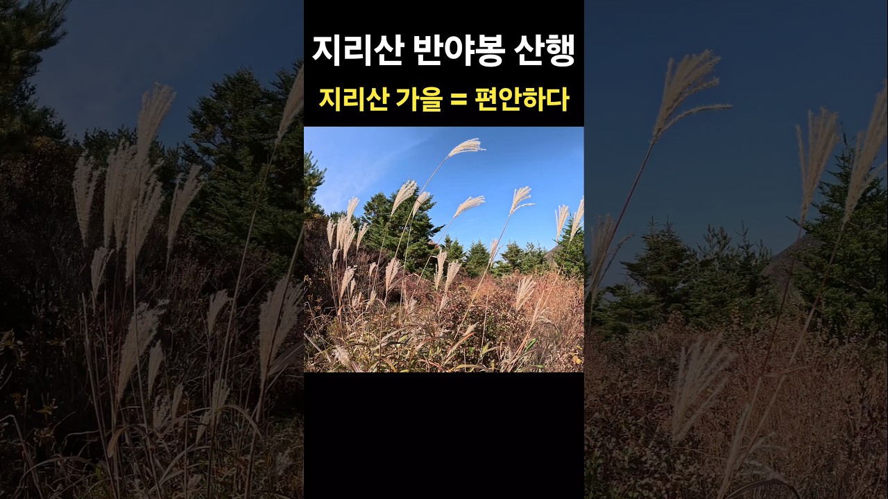 지리산 ⛰️ 가을 🍁 = 편안하다 🍂