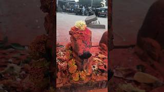 Om Namah Shivaya I Lord Nandhi I