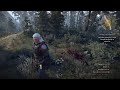 The Witcher 3|| 3000 Jahre später