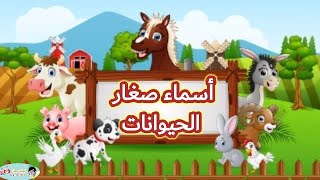 أسماء صغار الحيوانات باللغة العربية للأطفال-تعليم الأطفال صغار الحيوانات بطريقة سهلة و ممتعة