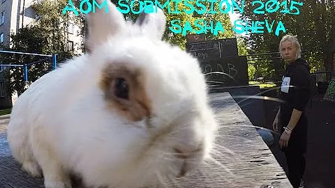 Aleksandra Shevchenko (Sasha Sheva) - AOM Santorini 2015 Submission - 天天要聞