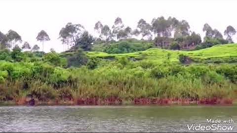 سورة الأعلى          الشيخ محمد المحيسني