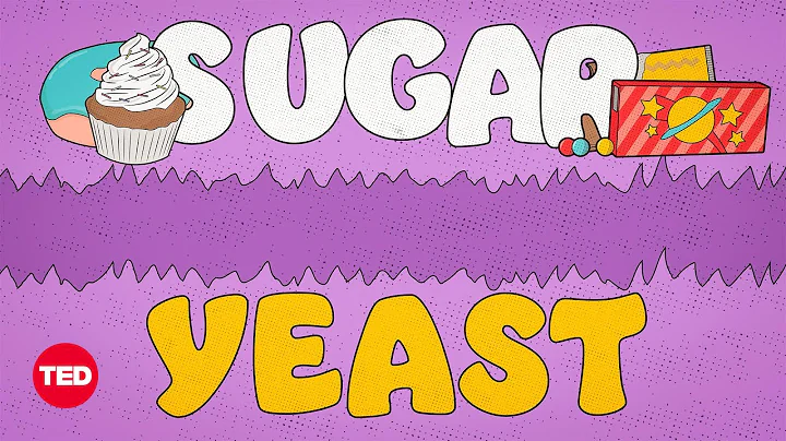 The Truth about Yeast in Your Body | Body Stuff wi...