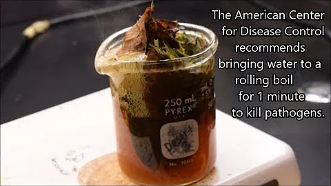 Kde najdeme bakterie ve vodě?