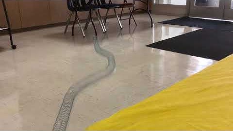 Exercise 3A: Longitudinal waves on slinky from LAB 13: Waves on a Strin, Georgian Court University