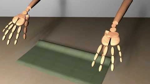 Coupling Cloth and Rigid Bodies for Dexterous Manipulation