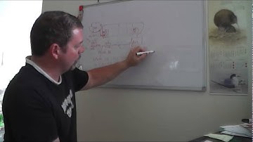 Ubiquity Picostation M2 How to set up a wireless bridge