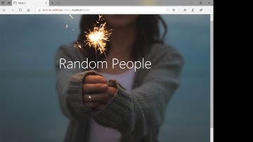 Aplicación Web en Net Core consumiendo Random User Web Api