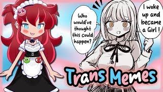 Trans MEMES to start your Day with [r/traa & r/egg_irl] feat. @CeruleanPrince