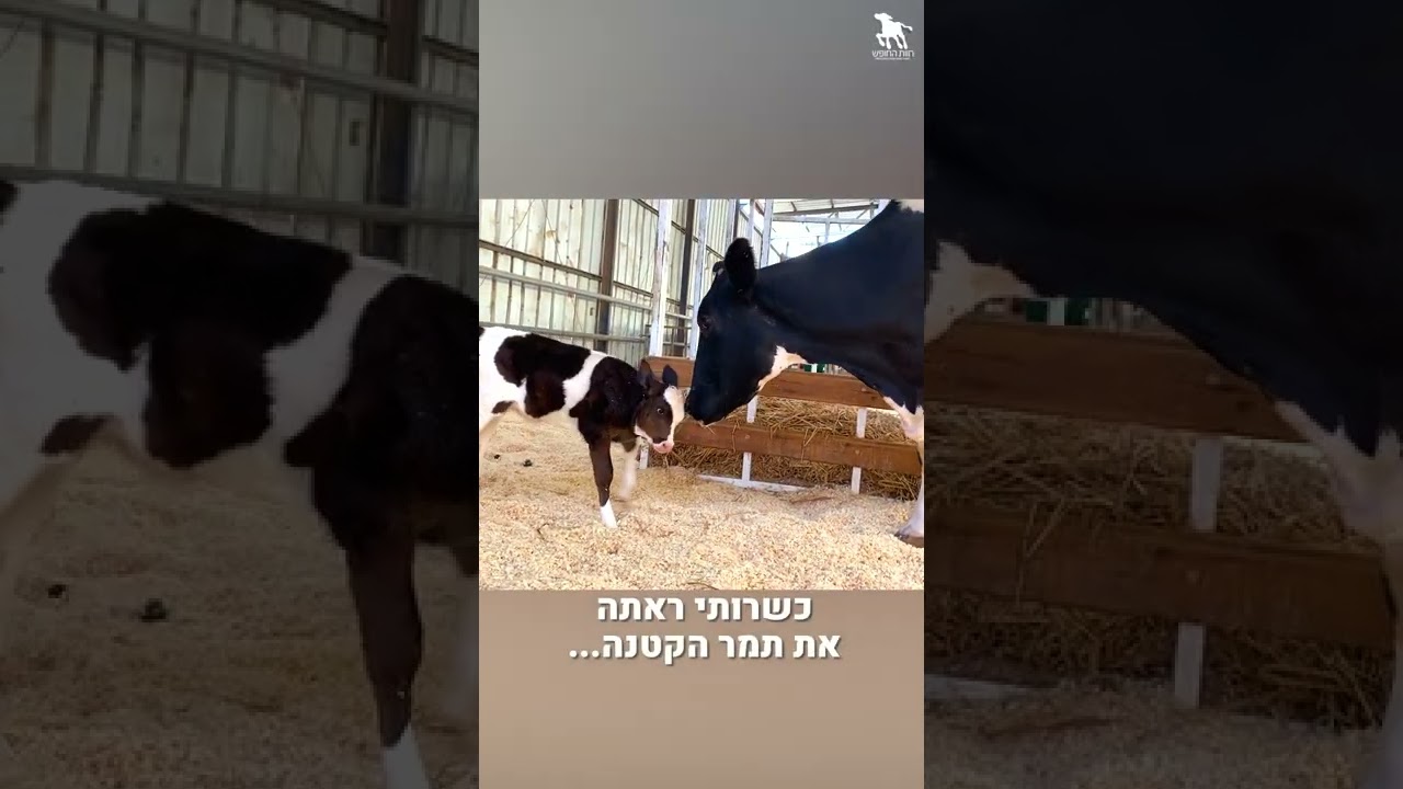 הסיפור המרגש של רותי ותמר- חוות החופש