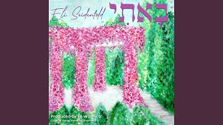 אלי זיידנפלד - באתי