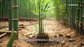 The Bamboo Farmer .An Inspirational story