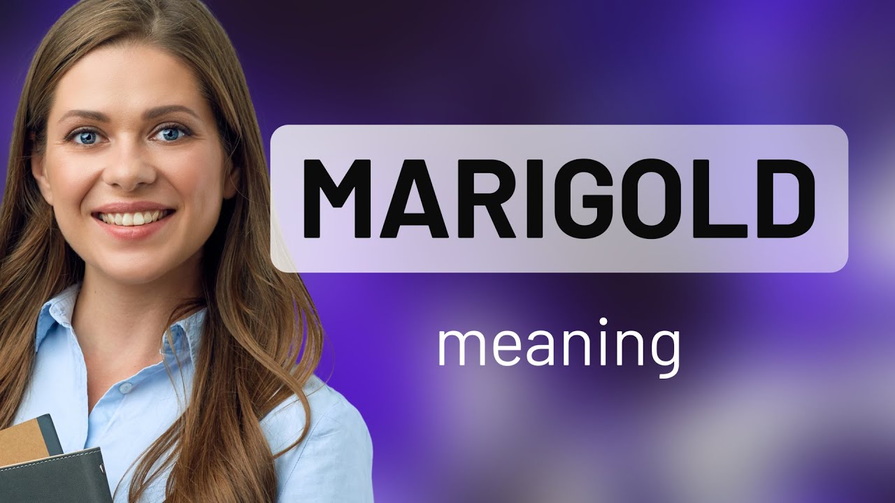 Marigold • meaning of MARIGOLD YouTube
