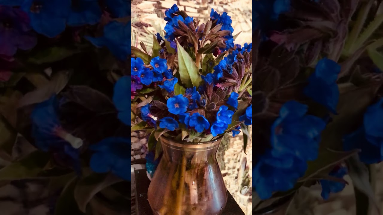 Асбест!🌺 Good morning!Flowers.С БОДРЫМ УТРОМ!У нас весна.Медуницы расцвели.Букет из леса.🌲