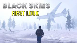 BLACK SKIES सर्वाइवल गेम - अर्ली एक्सेस screenshot 3