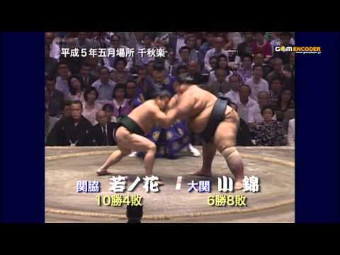 若ノ花vs小錦 (平成5年五月場所)