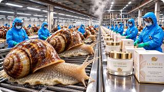 Inside the Futuristic Snail Mucin Gel Factory | Mass Production Process