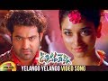 Oosaravelli Telugu Movie Video Songs | Yelango Yelango Telugu Song | Jr NTR | Tamanna | DSP