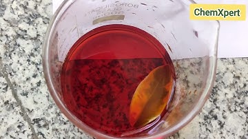 Activity 6.1 | Life processes Class 10 Science | Experiment  Chlorophyll required for photosynthesis