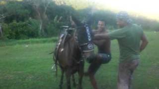 CIMG6527.AVI