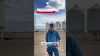 A Saskatchewan farmer on what the country needs amid the trade war