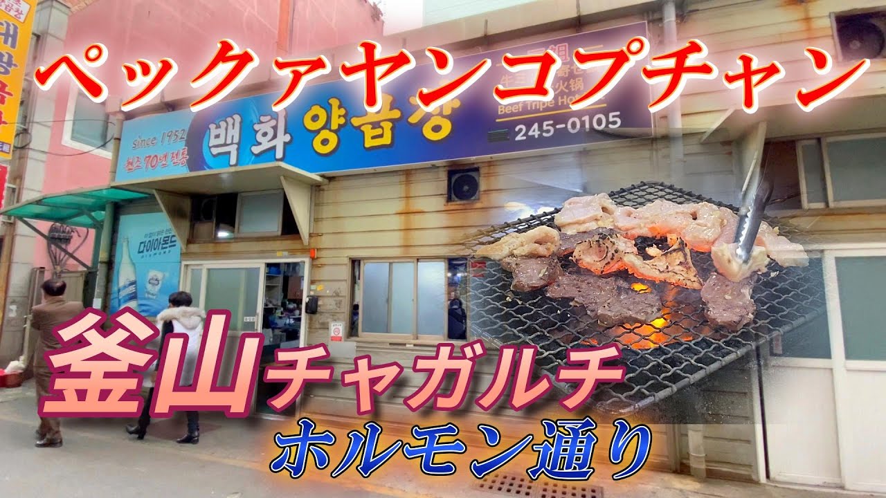 【🇰🇷韓国 #1-2】釜山チャガルチで絶対行くべきホルモン店 ペックァヤンコプチャン　夫婦旅
