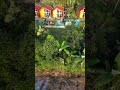 Never Miss a Detail: The Power of Security Camera Zoom