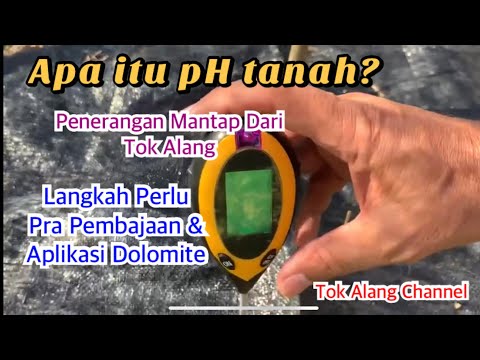 Apa pH Tanah Yang Terbaik Untuk Durian? Langkah PERLU Diambil Sebelum & Selepas...