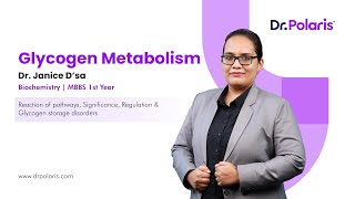 Biochemistry - Glycogen Metabolism | Reaction of pathways, Significance, etc. | MBBS 1st Year