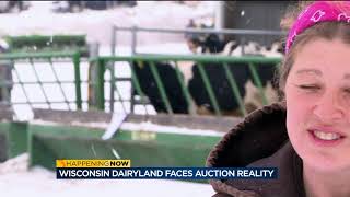 Farm auction offers glimpse into tough dairy industry