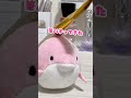 留守番失敗！？あなたなら怒る？怒らない？