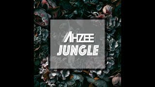 Смотреть клип Ahzee - Jungle