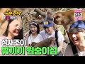 (ENG sub) 우끼끼🍌 쀼의 원숭이 섬 방문기!🐒 | Sung-Jae♥JOY | 우결⏱오분순삭 MBC160109방송
