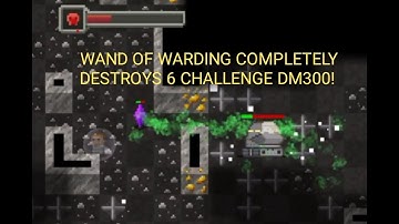 Wand of Warding Freerunner versus 6 challenge DM300