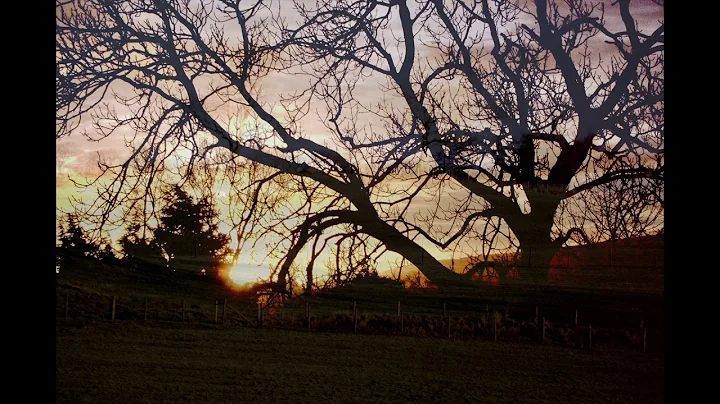 Sunrise and New Beginning