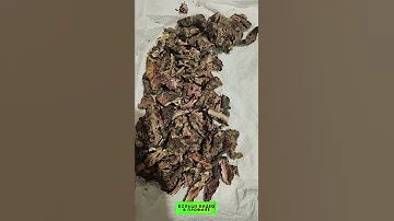 Золотой корень