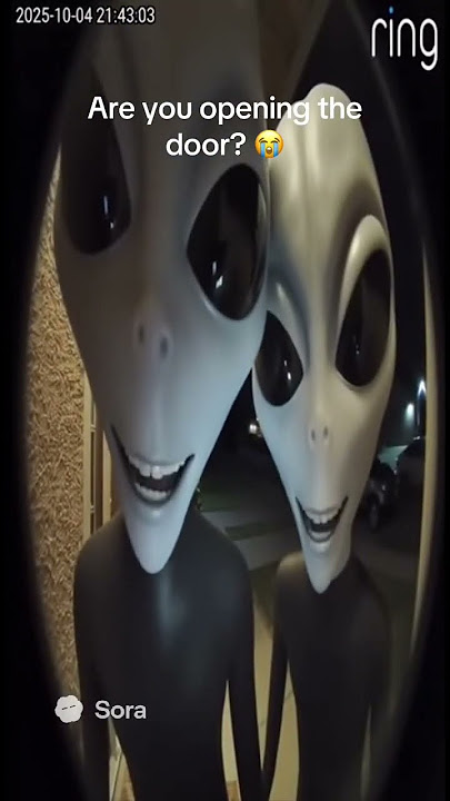 Are you opening up for Shmeeple? #weird #alien #sora #meme