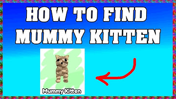 HOW TO FIND MUMMY KITTEN in FIND THE KITTENS ROBLOX 🐈‍⬛