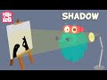 Shadows and Light: Exploring Their Mysteries Through Nature