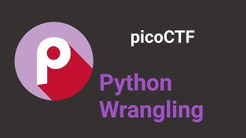 Walkthrough Python Wrangling (picoCTF)/Прохождение Python Wrangling