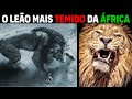 Leo  sekekama o leo mais forte da frica histria completa