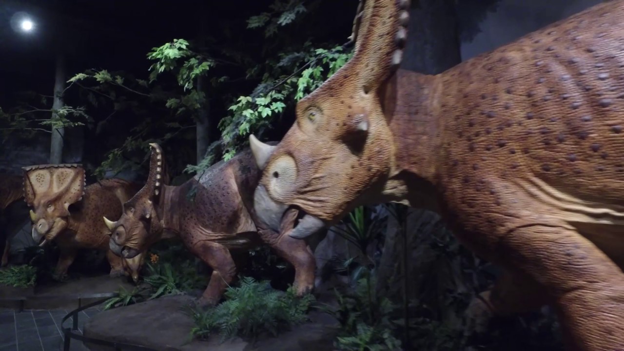 Ottawanders - CENTERTOWN