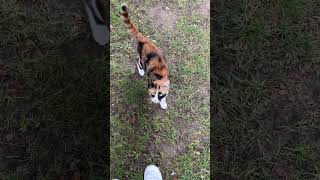 Sürekli Anne Derken Benim Haller