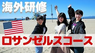 【完全版】海外研修 ロサンゼルスコースを紹介！【古着買付け！】