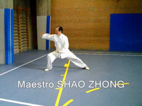 Video per tai chi chuan perugia - Maestro SHAO ZHONG