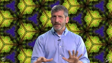 Neil Theise, M.D.: Complexity Theory & Panpsychism