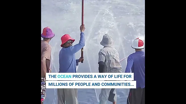 Five reasons to celebrate the ocean: 2. Livelihoods